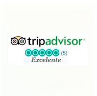 Trip Advisor